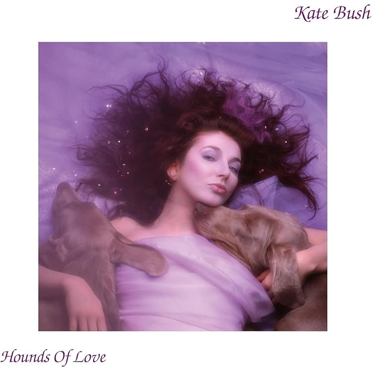 Hounds of Love (2018 Remaster) [VINYL]: Amazon.co.uk: CDs & Vinyl